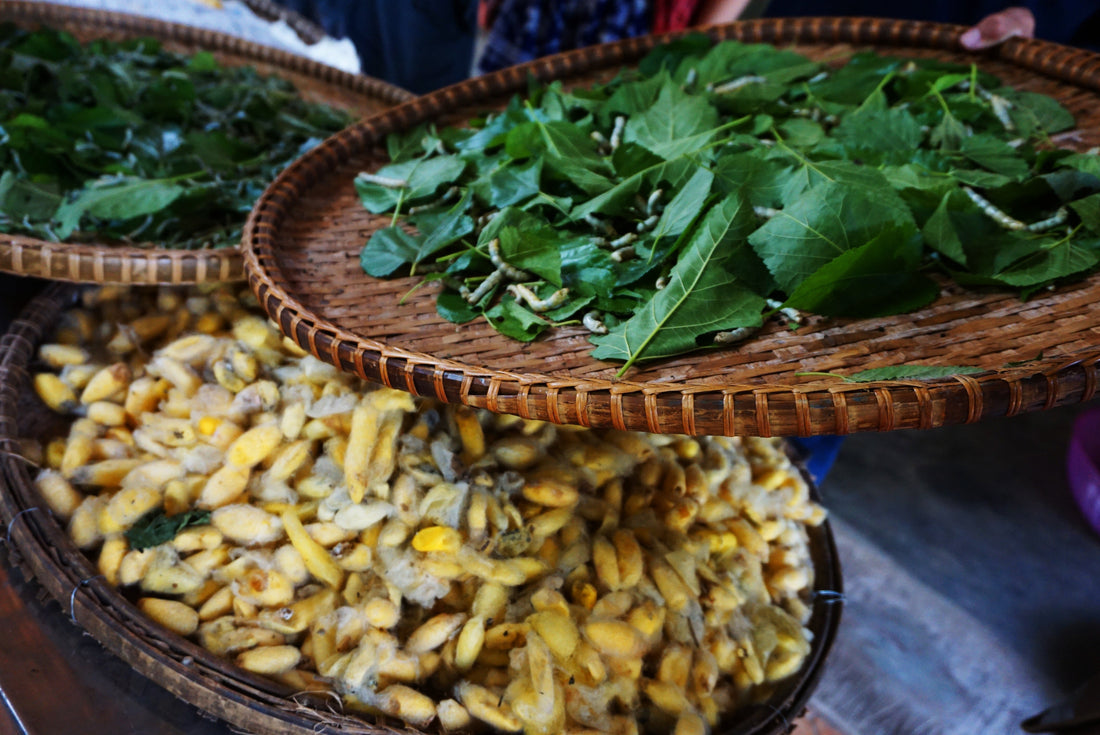 Why Our Ethically Farmed Silk is a Sustainable, Eco-Friendly Choice