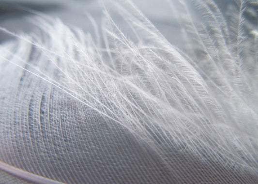Breathability vs. Plastic Shine: Why Natural Fibres Feel Different